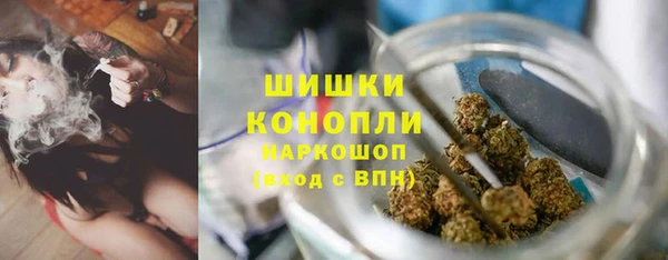гидропоника Богданович