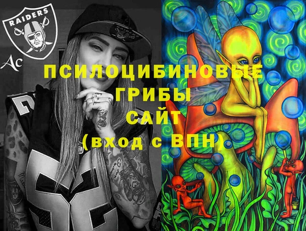 мдма Богородск