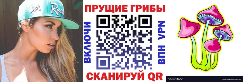 Галлюциногенные грибы GOLDEN TEACHER  купить закладку  Дрезна 